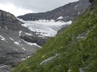 CH, Wallis, Leukerbad, Lammerengletscher 3, Saxifraga-Willem van Kruijsbergen